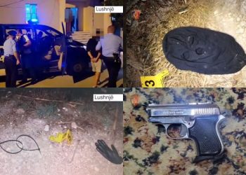 Të maskuar dhe me armë zjarri/ Po grabisnin një banesë në Lushnjë, arrestohen 3 persona