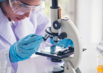 Kolera rikthehet pas 50 viteve në Sardenjë, ekspertët nisin hetimet