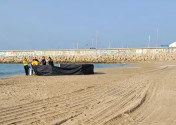Tmerr në Spanjë, gjendet në plazh trupi i një fëmije pa kokë