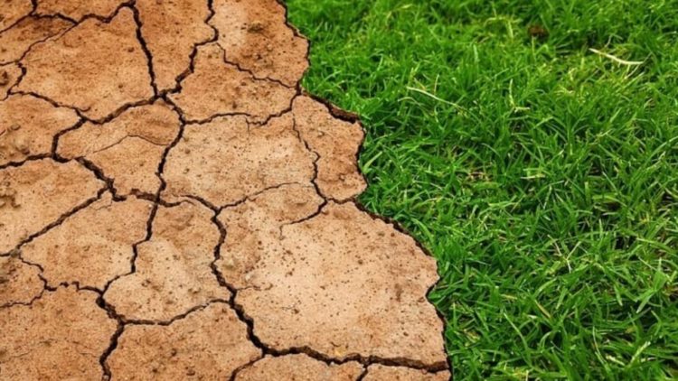 Ndryshimet klimatike po thyejnë rekorde, ekspertët ngrenë alarmin