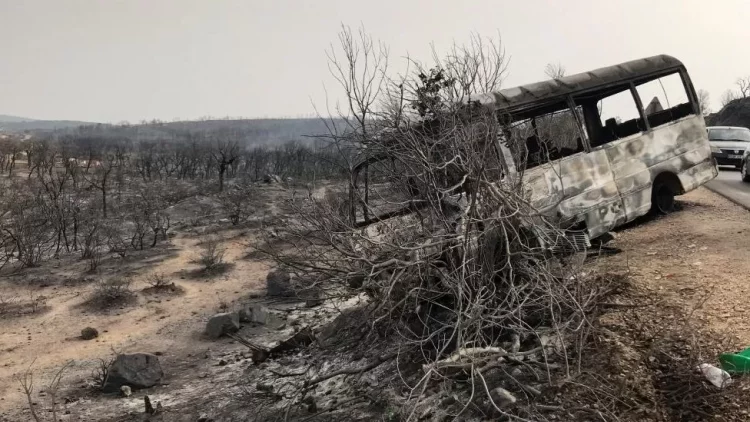 Algjeri/ 15 viktima dhe mijëra të evakuuar si pasojë e zjarreve