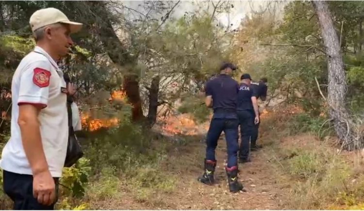 Përfshihet nga zjarri pylli në Peshtan të Fierit