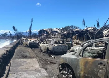 99 viktima nga zjarret në Hawaii, guvernatori: Numri i të vdekurve pritet të rritet