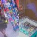 I gjakosur pas frigoriferit, publikohet pamjet e momenteve të fundit të tifozit në Greqi