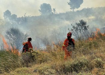 Zjarri në malin Shpirag/Peleshi: 50 efektivë të FA, 5 mjete dhe 1 helikopter të angazhuar