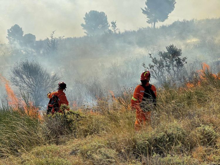 Zjarri në malin Shpirag/Peleshi: 50 efektivë të FA, 5 mjete dhe 1 helikopter të angazhuar
