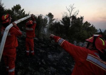 Zjarret në vend/ Peleshi: Situata paraqitet më e mirë, vijon puna për shuarjen e flakëve