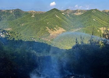 Zjarret në vend/Peleshi: Asnjë vatër aktive,po monitorohet situata në qytetin e Elbasanit