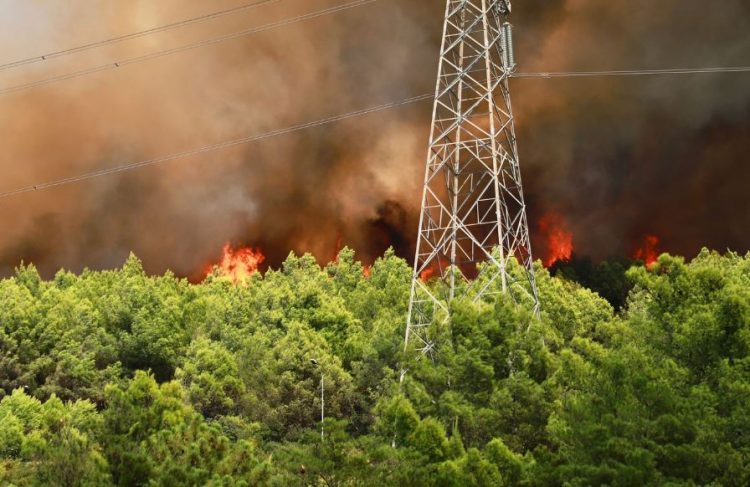 Zjarr i madh në Laç, dyshohet i qëllimshëm