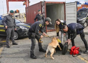 Drogë mes karkalecave në portin e Livornos në Itali, në pranga 23-vjeçari shqiptar