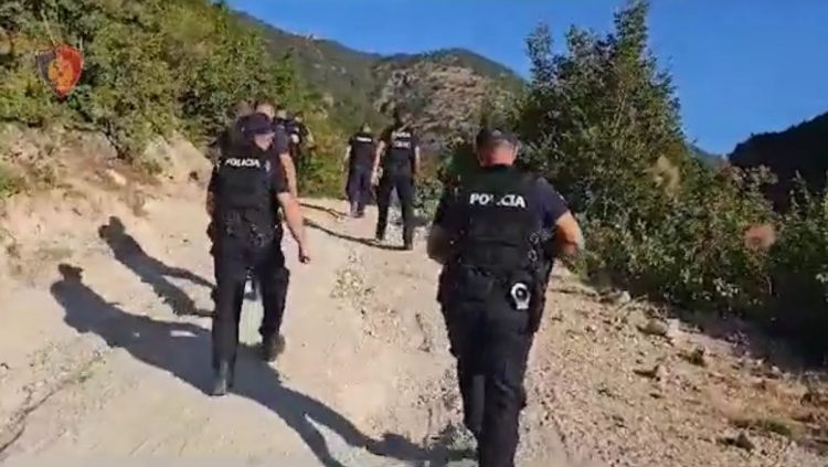 Arrestohen 3 efektivë të repartit ushtarak, kultivuan kanabis në Zall Herr