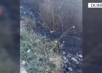 I vuri flakën aksidentalisht tokës së fqinjit, arrestohet 50-vjeçari në Durrës