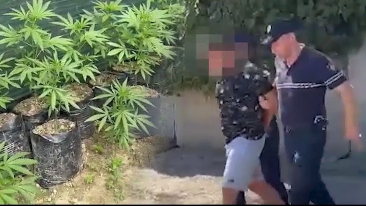 Parcela me kanabis në repartin ushtarak të Zall Herrit, lirohen nga detyra 4 ushtarakë