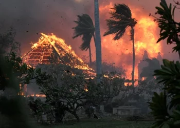 Zjarret në Hawaii/ Shkon në 53 numri i viktimave, raportohen qindra të zhdukur