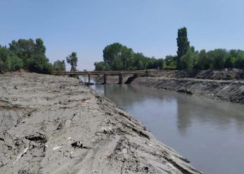 Fier/ Ishte duke peshkuar, bie në kanal dhe mbytet 20-vjeçari