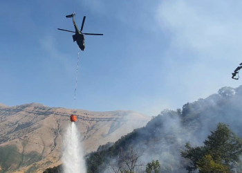Peleshi: Janë shuar 10 vatra zjarri në vend brenda 24 orëve