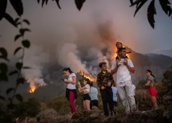 Spanja përfshihet nga zjarret, evakuohen mbi 8 mijë banorë në Tenerife