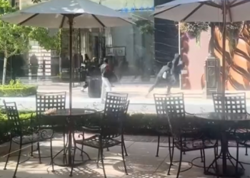 Rreth 30 hajdutë grabisin dyqanin luksoz, vjedhin mallra me vlerë 300,000 dollarë (VIDEO)