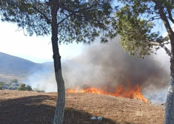 Rikthehen zjarret në Greqi, raportohet për një viktimë në afërsi të Athinës