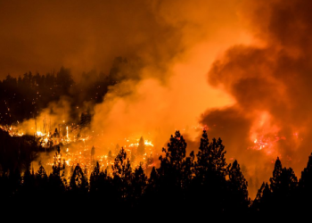 Zjarret në SHBA, Uashingtoni shpall gjendjen e jashtëzakonshme