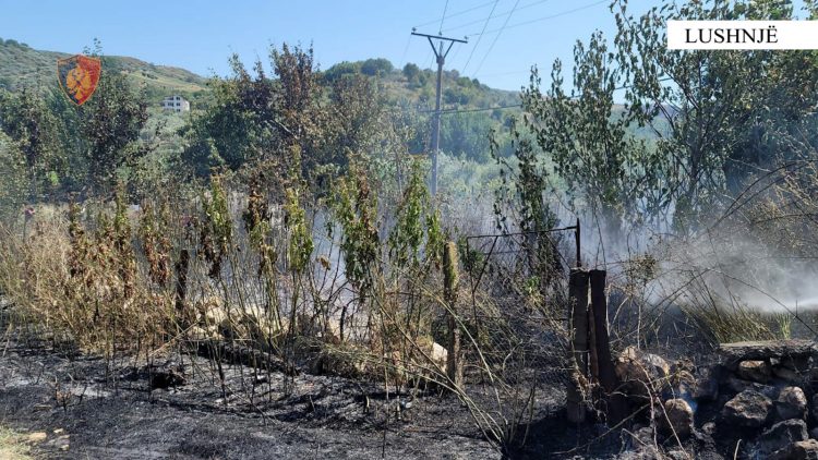 Punësoi 19-vjeçarin për djegien e barërave, në kërkim pronari i tokës. Arrestohet i riu