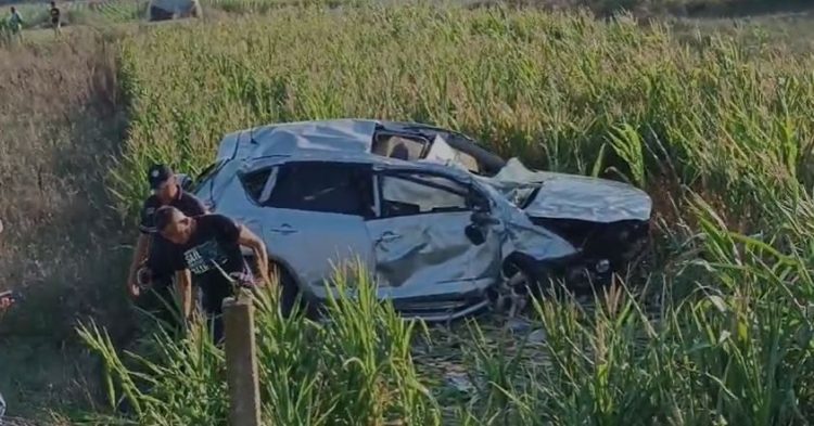 Makina del nga rruga dhe përfundon në një arë në aksin Lushnjë-Berat, 5 të lënduar(Video)