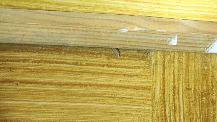 Grabisnin banesa në Barcelonë/ Arrestohen 2 shqiptarë, zbulohet metoda e re e vjedhjeve