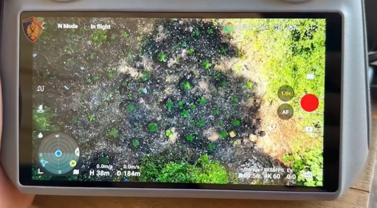 Përshtatën territorin e lokaleve për kultivimin e drogës,pranga dy biznesmenëve në Himarë