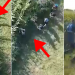Pamjet me dron, kur policia hyn në aksion në fshatin Mjedë në Vaun e Dejës