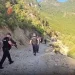 1000 efektivë për 3 ditë kontrolle nëpër male, asgjësohen 3543 bimë kanabis