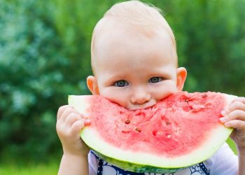 Sot Dita Botërore e Shalqirit, gjithçka që duhet të dini nga historia deri te rëndësia