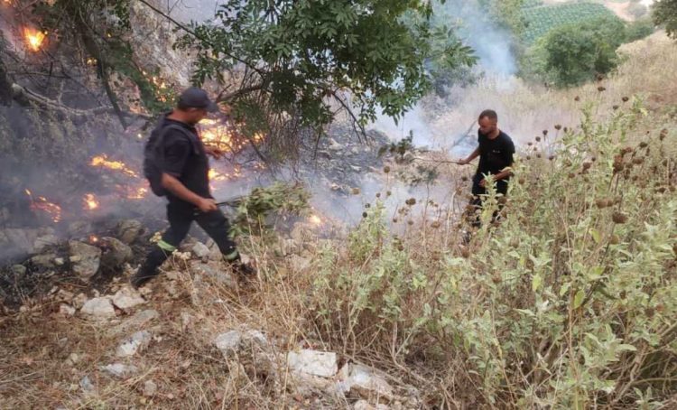 Belsh/Përfshihet nga flakët një sipërfaqe me pemë frutore, rrezikohen disa banesa