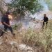 Belsh/Përfshihet nga flakët një sipërfaqe me pemë frutore, rrezikohen disa banesa
