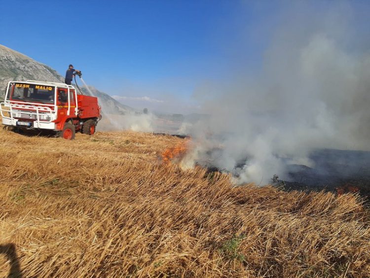 Aktivizohet zjarri në Maliq, digjet zona torfike, po punohet për shuarjen e flakëve