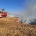 Aktivizohet zjarri në Maliq, digjet zona torfike, po punohet për shuarjen e flakëve