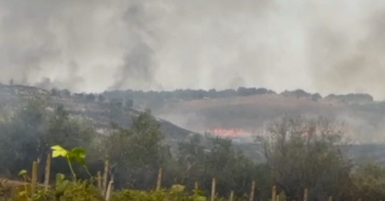 Ndez zjarr për të djegur barishtet, flakët marrin përmasa të mëdha, arrestohet 42-vjeçari