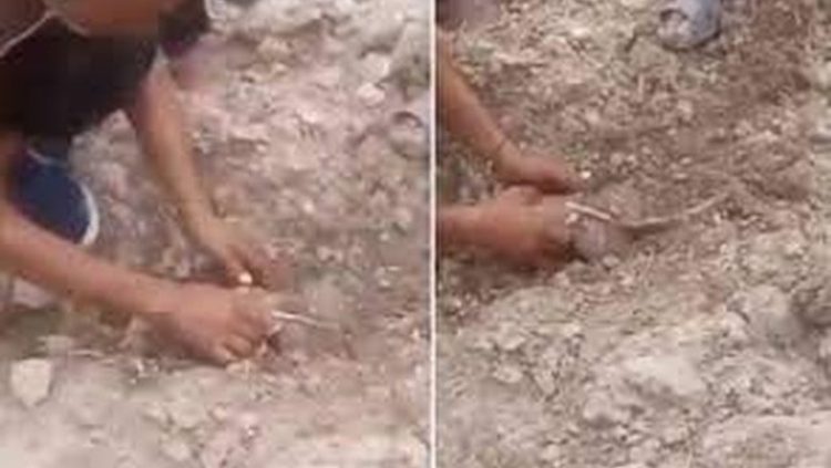 VIDEO/ Momenti kur foshnja nxirret e gjallë nga rrënojat pas tërmetit në Marok