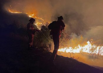 Zjarri në Zhamë/Peleshi:Situata nën kontroll,u angazhuan 185 trupa të emergjencave civile