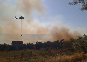Zjarr në një ullishte në Fier, Peleshi: Niset për ndërhyrje nga ajri helikopter Cougar