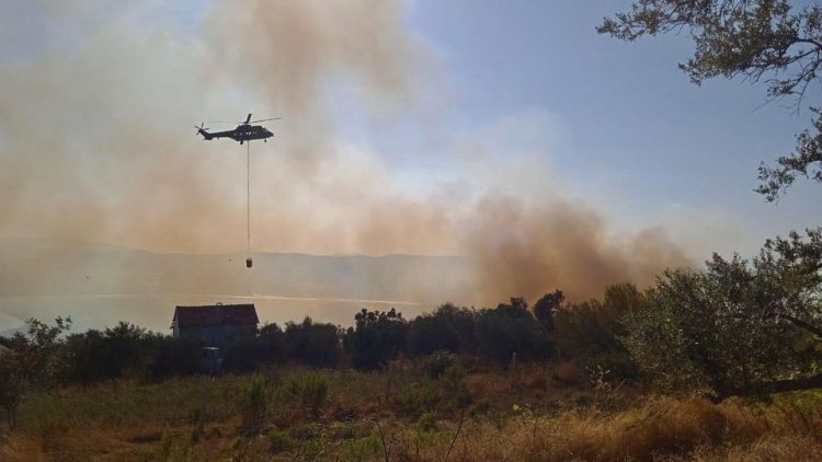 Zjarr në një ullishte në Fier, Peleshi: Niset për ndërhyrje nga ajri helikopter Cougar