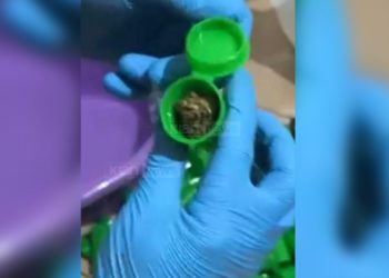 FOTO/ Drogë nga Kanadaja, si futej me postë në Shqipëri