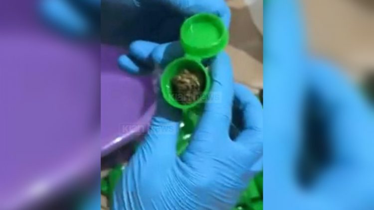 FOTO/ Drogë nga Kanadaja, si futej me postë në Shqipëri