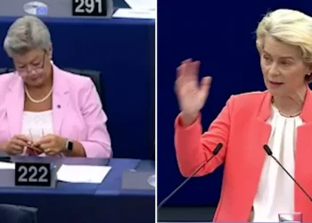 Komisionerja e BE-së filmohet duke thurur me shtiza në PE