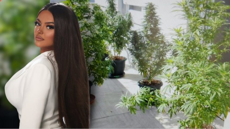 Kanabis në banesë, arrestohet Enca. Këngëtarja: E kultivoja për përdorim vetjak