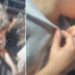 “Më rreh, nuk dua të iki tek ai”, i mituri qan në urban, arrestohet dhunuesi