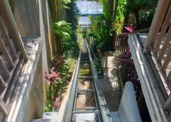 Këputet kablloja e ashensorit në një hotel luksoz në Bali, humbin jetën pesë të rinj