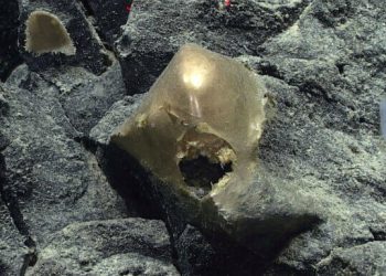 Zbulohet një sferë misterioze e artë në fund të oqeanit, shkencëtarët nisin studimet
