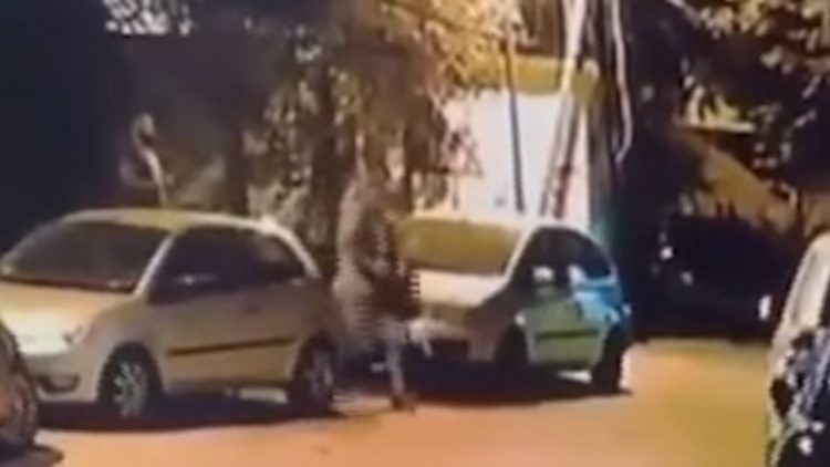 Qëlloi macen me armë sportive, vihet nën hetim 39-vjeçari në Tiranë