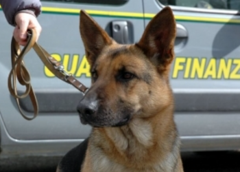 Goditet grupi kriminal italo-shqiptar, policia italiane: Kokat e grupit nga vendi fqinj