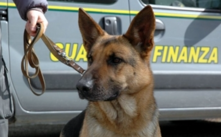 Goditet grupi kriminal italo-shqiptar, policia italiane: Kokat e grupit nga vendi fqinj